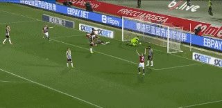 1716245563827003764.gif 博洛尼亚2.gif